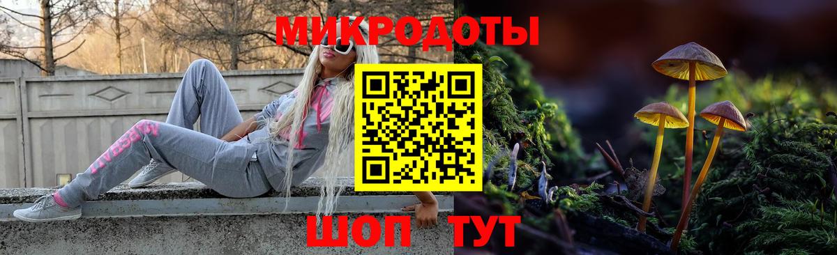 Псилоцибиновые грибы Magic Shrooms Великий Устюг